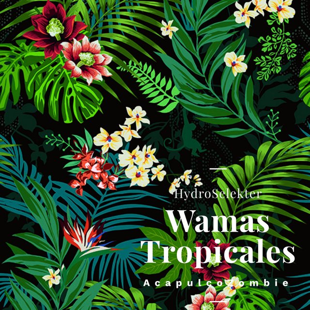 Wamas Tropicales (feat. Acapulco Zombie)