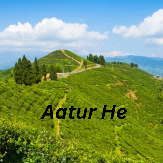 Aatur He