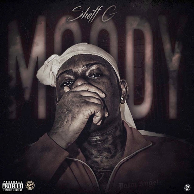 Cover art for album Moody by Sheff G