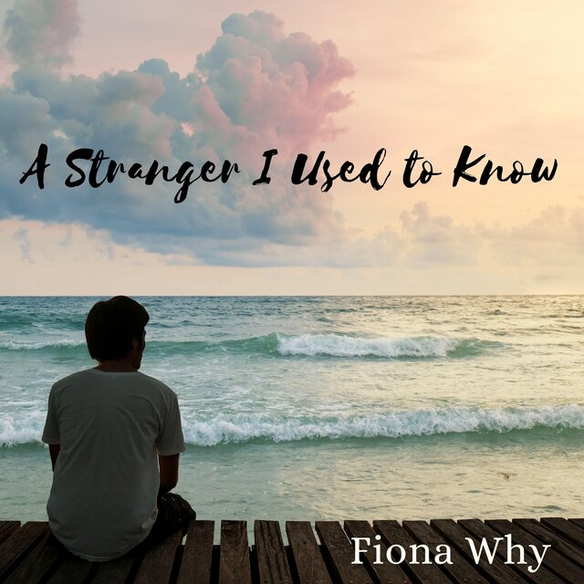 A Stranger I Used to Know