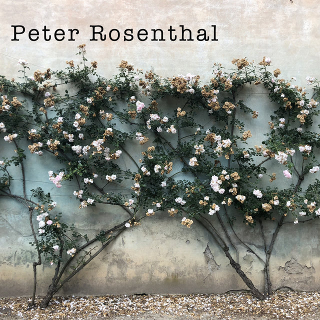 Peter Rosenthal