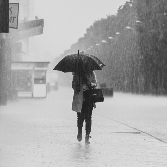 いくつかの雨音