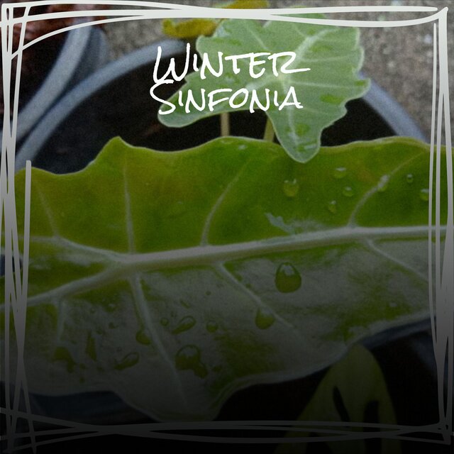 Winter Sinfonia