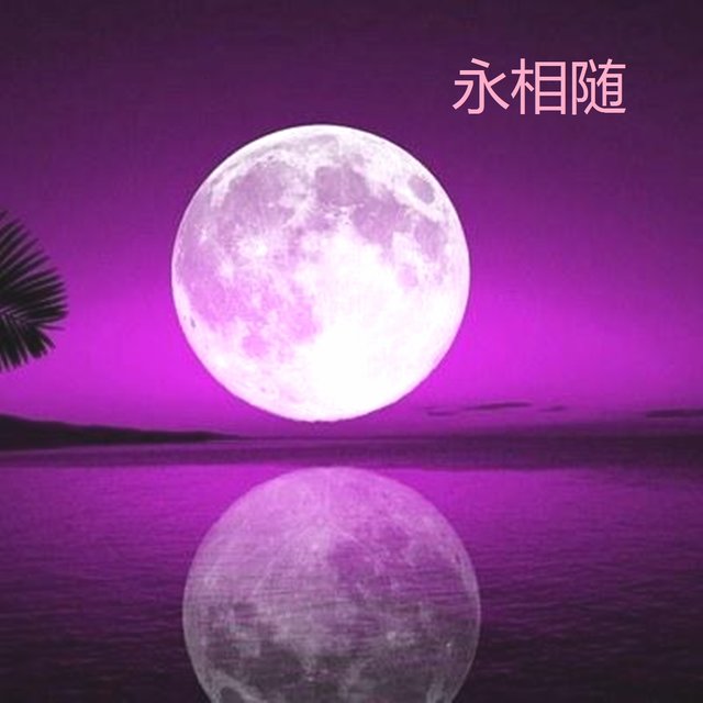 永相随