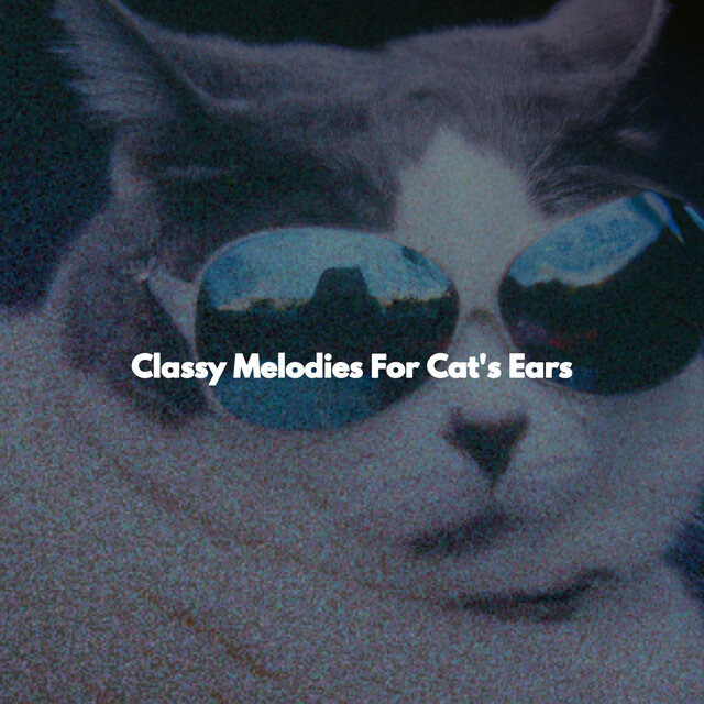 Classy Melodies For Cat's Ears