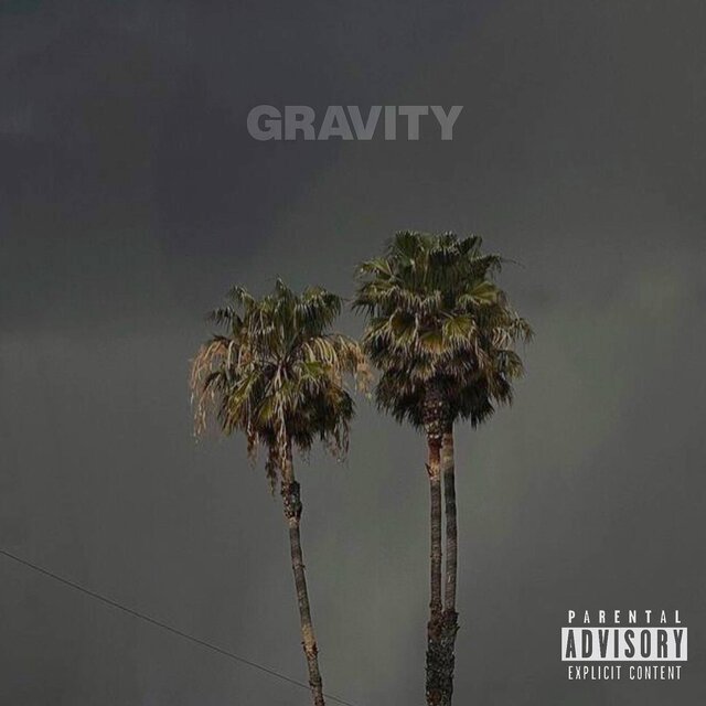 Gravity