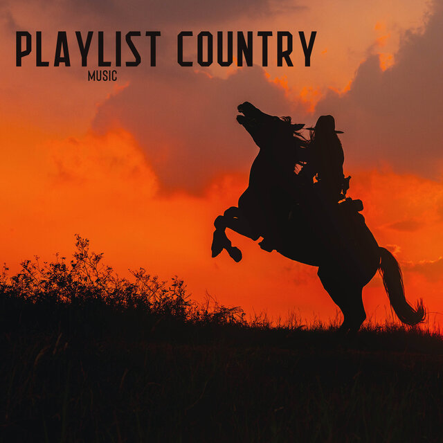 Playlist Country Music