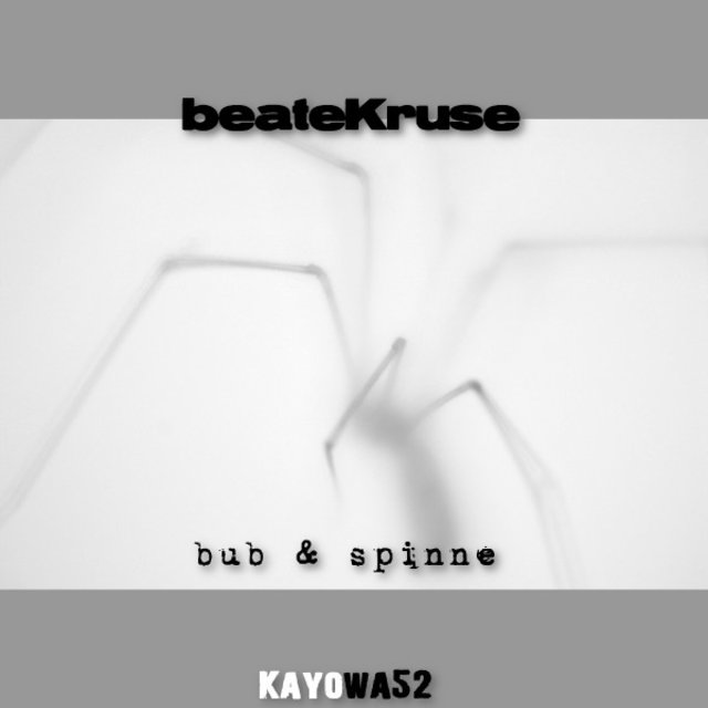 Bub und Spinne