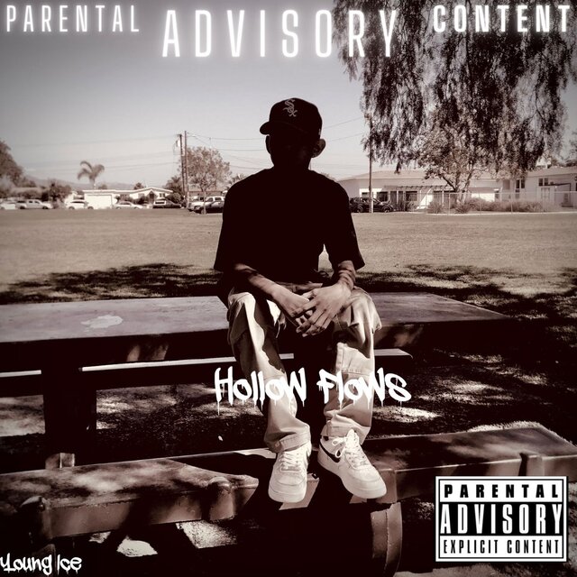 Hollow Flows