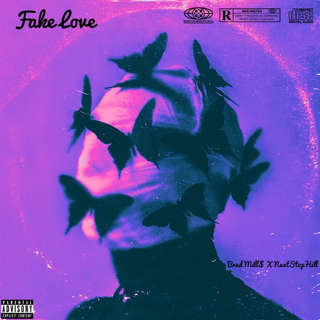 Fake Love (feat. NextStopHill)