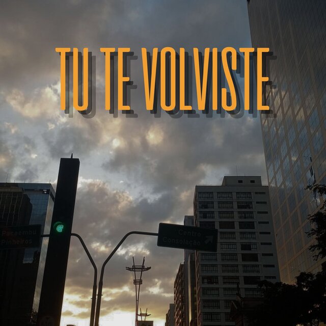 Tu Te Volviste