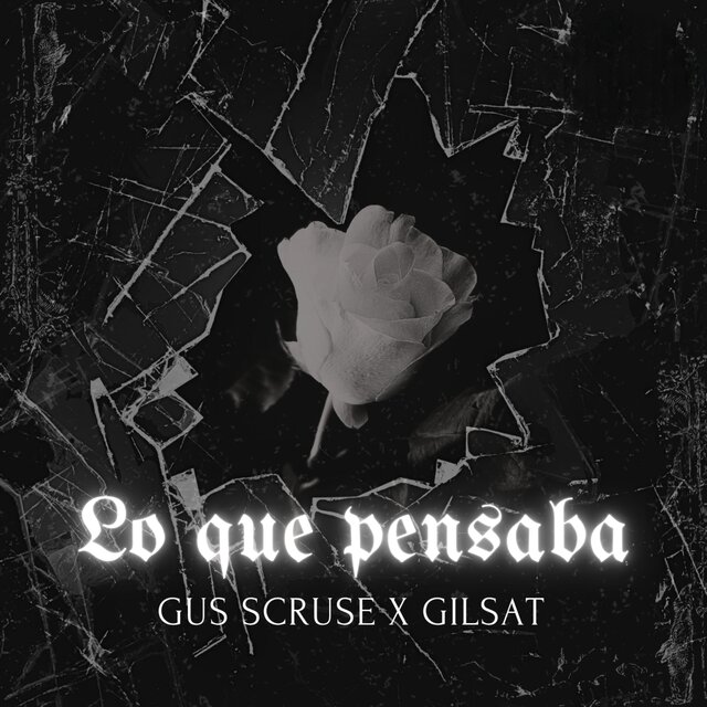 LO QUE PENSABA