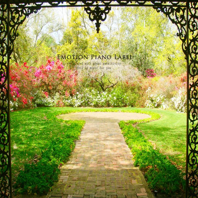 The garden of my heart