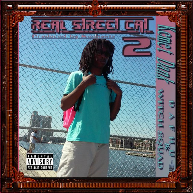 Real Street Cat 2