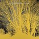 Cover art for album The Stars Are Indifferent To Astronomy by Nada Surf