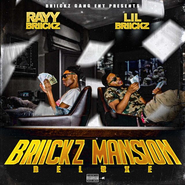 Briickz Mansion Deluxe
