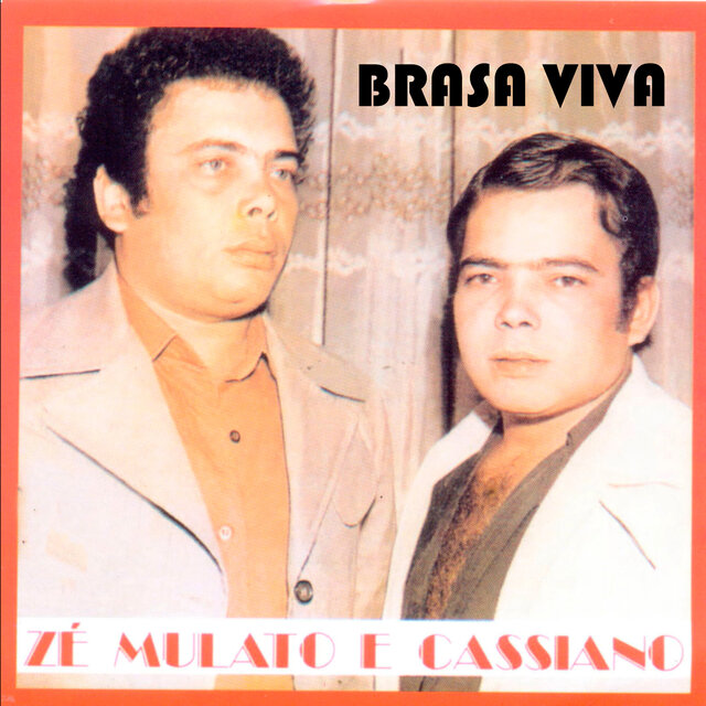 Brasa Viva