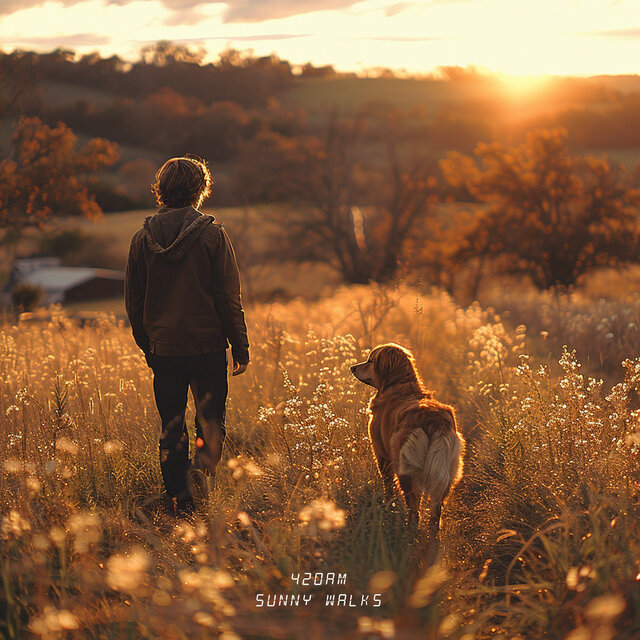 Sunny Walks