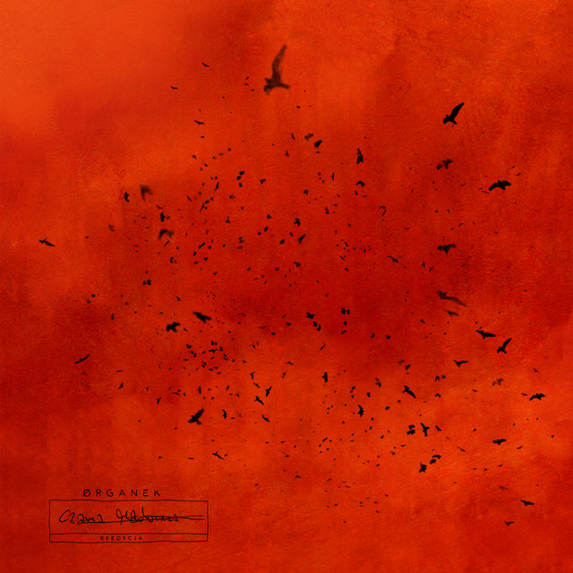 Cover art for album Czarna Madonna - Reedycja by Organek