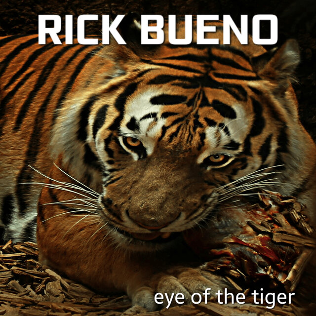 Eye of the Tiger (Cover)