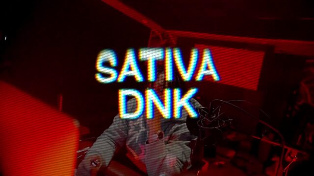 Sativa 