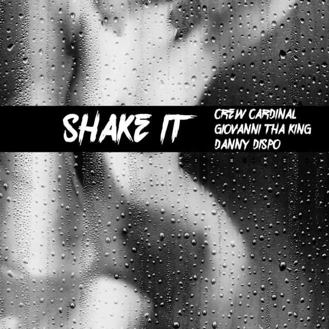 Shake It (feat. Giovanni Tha King & Danny Dispo)