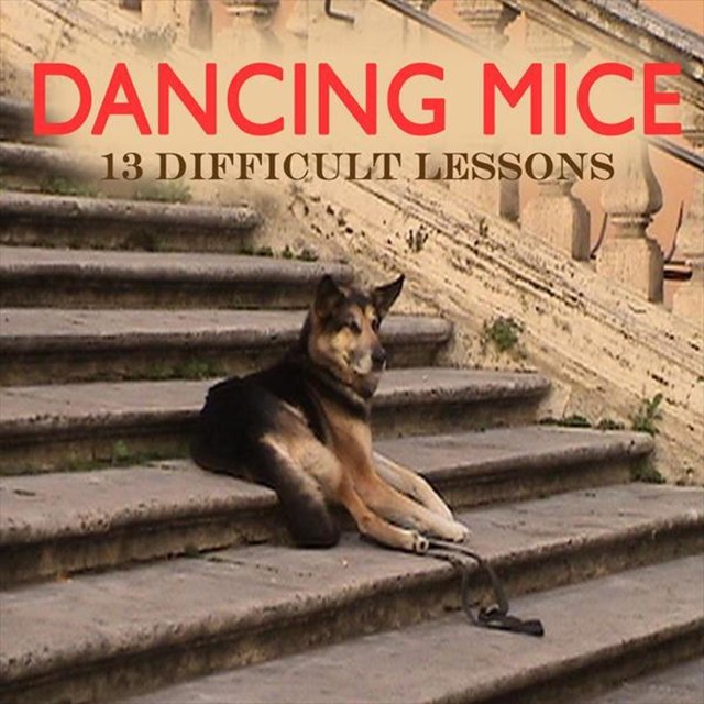 13 Difficult Lessons (Album)