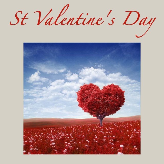 St Valentine's Day - Valentines Day Sweet Romantic 