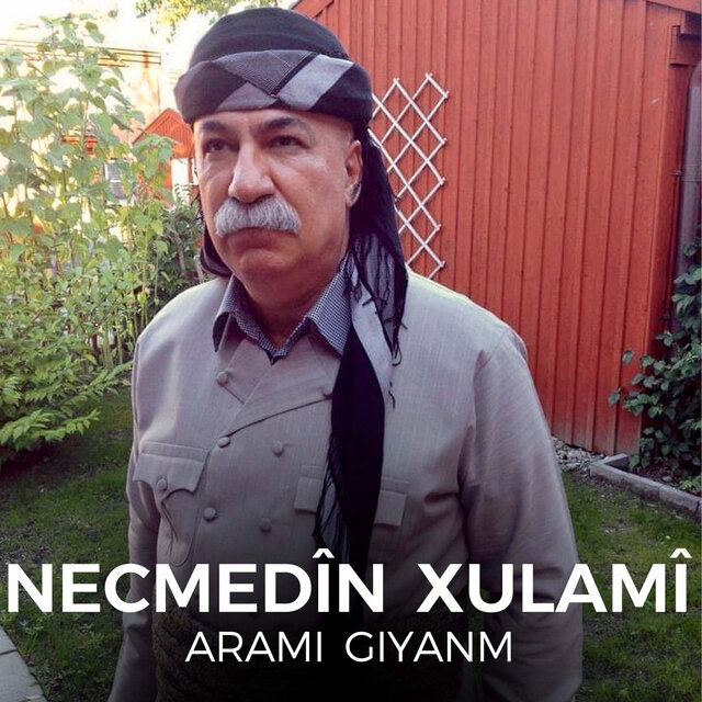 Arami Giyanm