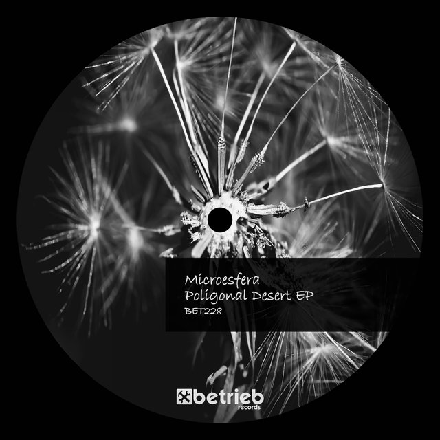 Poligonal Desert EP