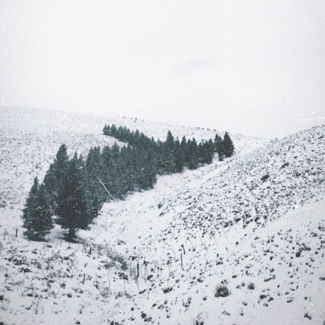 El Paso