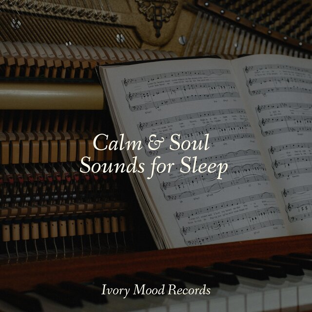 Calm & Soul Sounds for Sleep