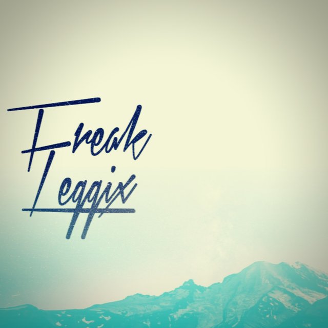 The Leggix Collection