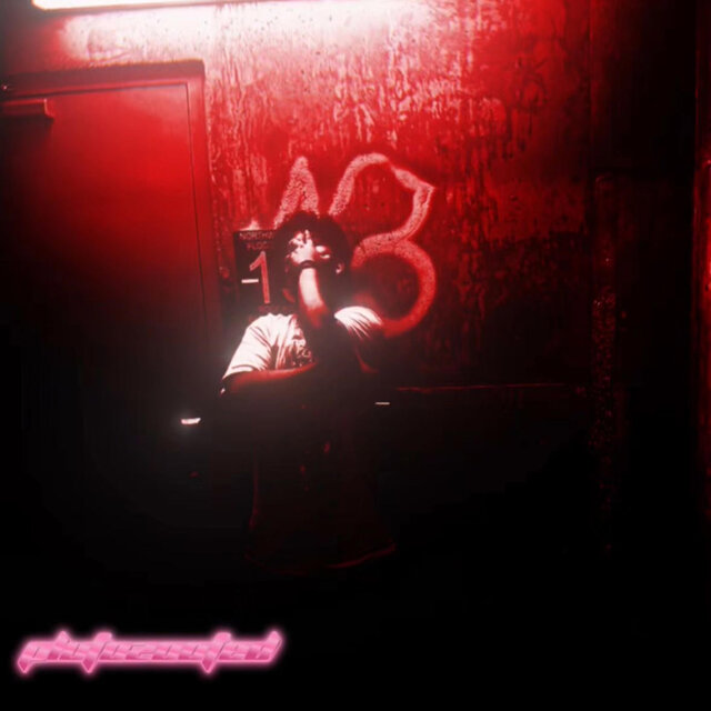 13 (Deluxe)