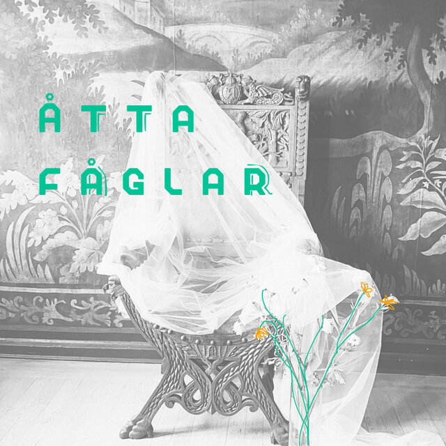 Åtta fåglar