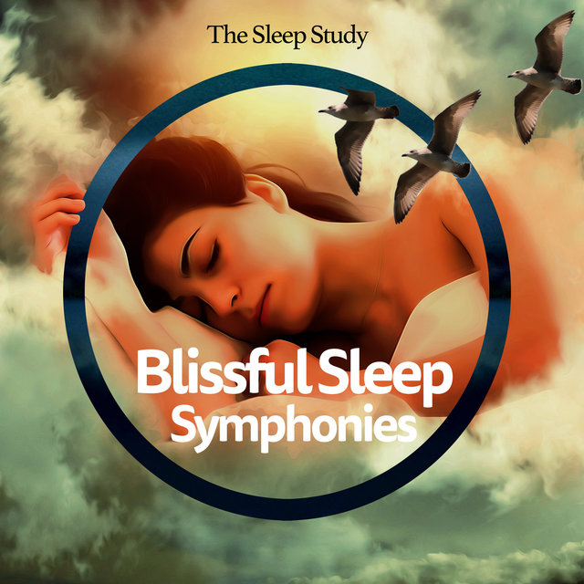 Blissful Sleep Symphonies