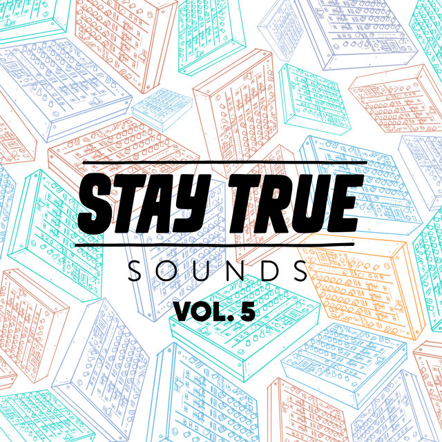 Stay True Sounds, Vol. 5