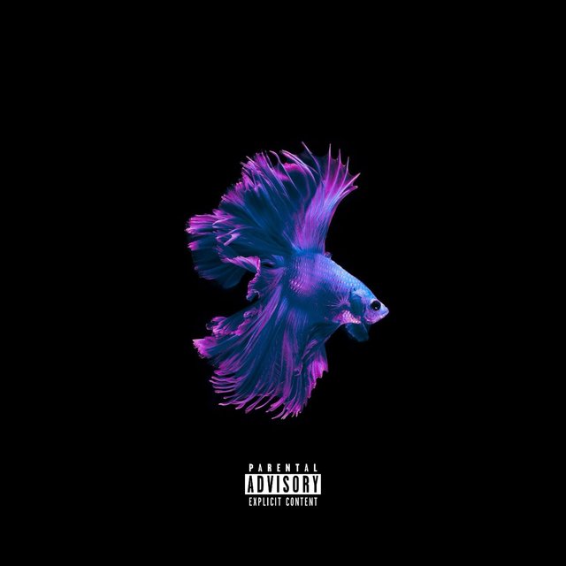 Sorry, I Forgot (Deluxe)