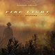 Cover art for album Fire Light by Darshan Ambient