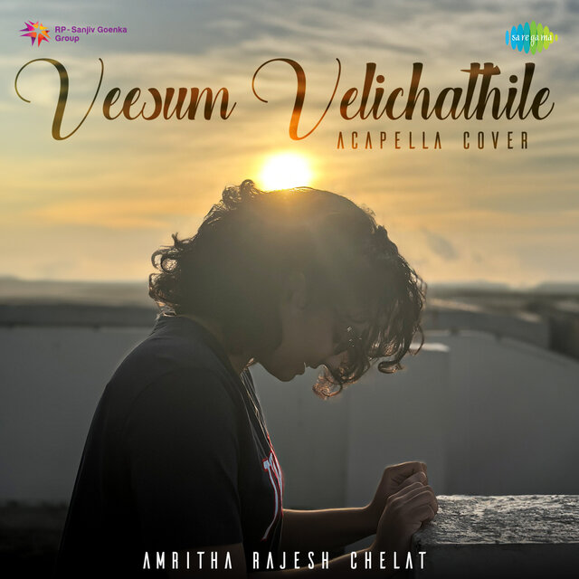 Veesum Velichathile