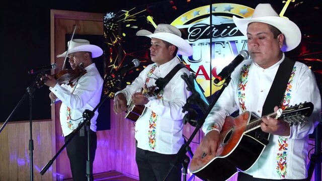 Las Cochinitas - En Vivo Desde Encuentro Huasteco
