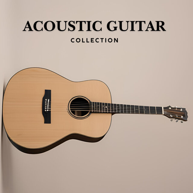 Acoustic Guitar Collection