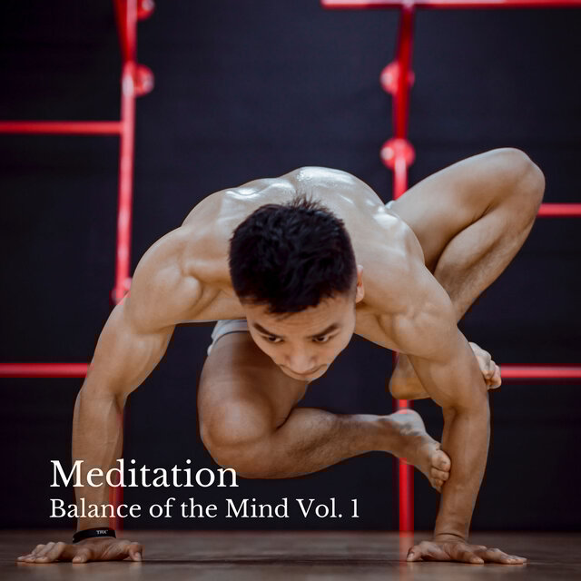 Meditation: Balance of the Mind Vol. 1