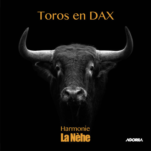 Toros en Dax