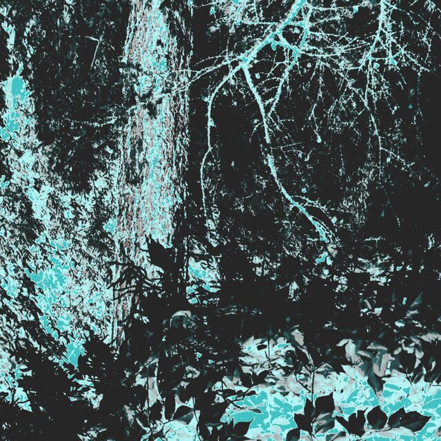Flesh Worn Thin