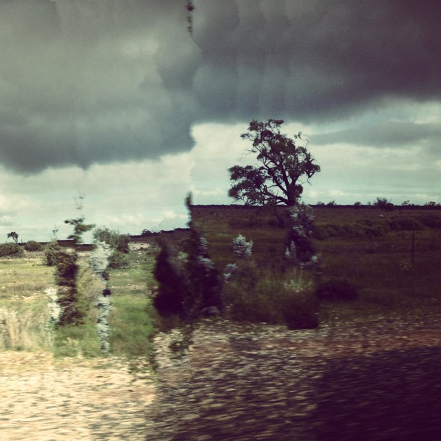 Love Lost in a Storm