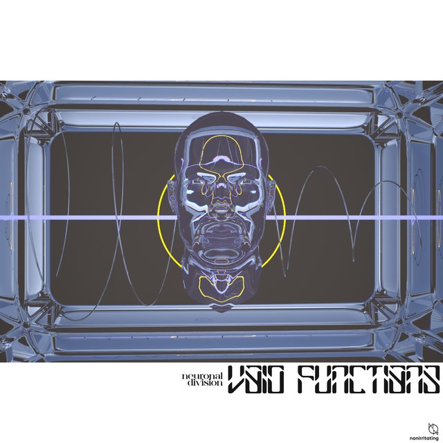 Void Functions