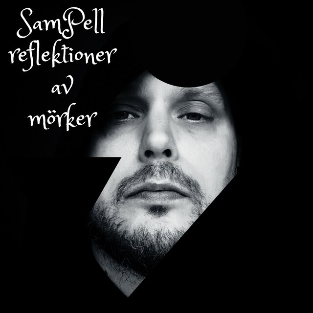 Reflektioner av mörker