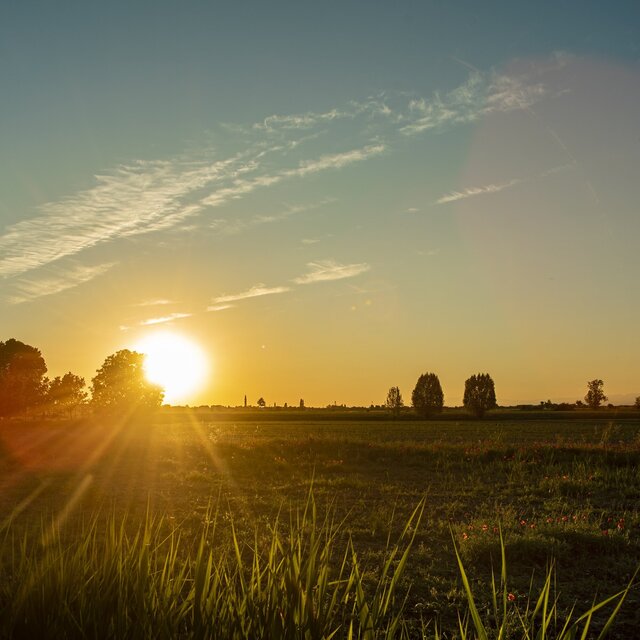 Relaxing Field Sound for Resting
