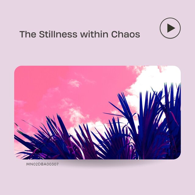 The Stillness within Chaos